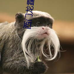 凯时国际·(中国)娱乐官方网站