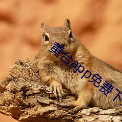 黄台app免费下载免费