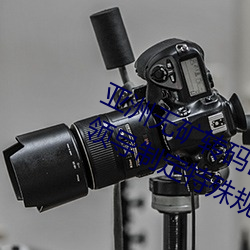 亚(亞)洲无(無)矿转码(碼)区2022江(江)西机(機)关球赛(賽)为领导制定特殊规则:上场1