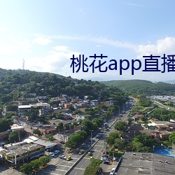 桃花app直播間