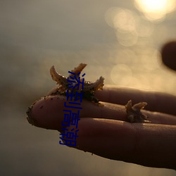 添到高潮