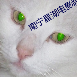 南(南)宁星(星)湖电影院