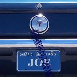 杨德财征婚高清