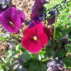 米乐M6·(中国)官方网站