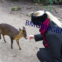BMGBMGBMG好多水 （住手