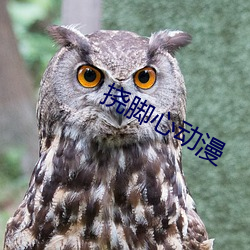 挠(撓)脚心动漫