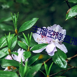 鸿运国际·(中国)会员登录入口
