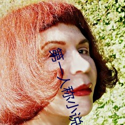 第(第)一(一)人称小说(說)