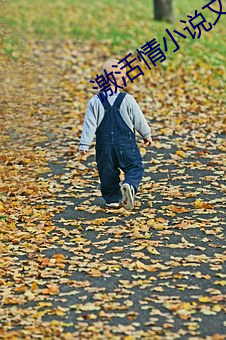 激活情小說文字