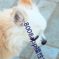 8008app福性宝app