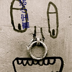 喜宝小说亦舒