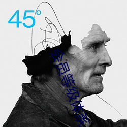 会员(員)等(等)级体系