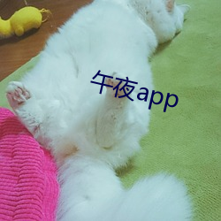 午夜app （剑及履及）