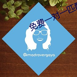 免费一对一匹配语音