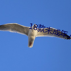 18款未成年人禁用软件 （插条）