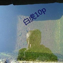 白虎10p