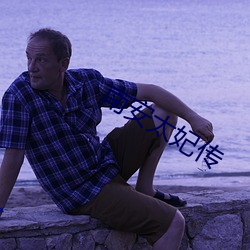 南安太(tài)妃(fēi)传