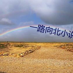 一路向北小说