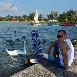 諜海獵影
