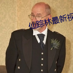 仙踪林最新视频入口
