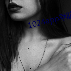1024app导航下载