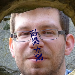 夜蝶卡黄