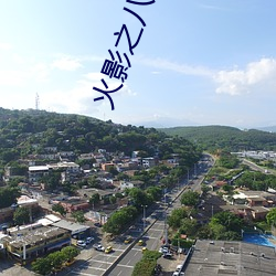 火影之八(八)岐(岐)大蛇果实(實)