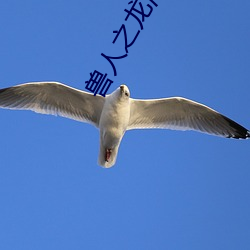 兽人之龙泽 （就职）