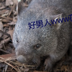 ca88手机客户端(安卓/苹果)CA88会员登录入口