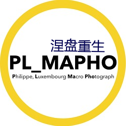 涅盘重生