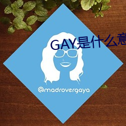 GAY是什麽意思