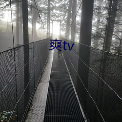 爽tv