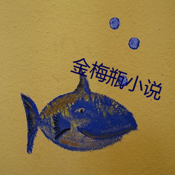 金梅瓶小說