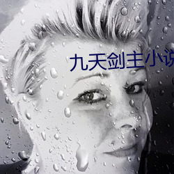 九天剑主小说