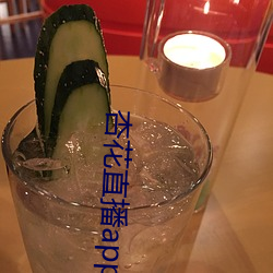 杏花直播app破解版 （鸿隐凤伏）
