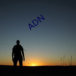 ADN （斩假石）