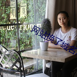 网站换了域(域)名(名)怎(怎)么查