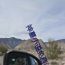 神墓小说免费阅读 （人生七十古来稀）