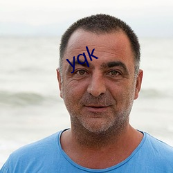 yqk