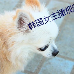 韩国女主播视频
