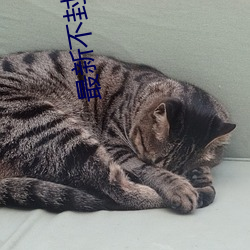 最新不封(fēng)号的直(zhí)播平台(tái)