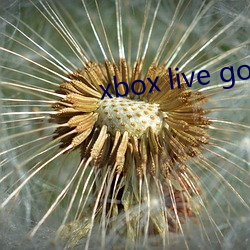 xbox live gold