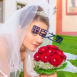 罪臣之妻