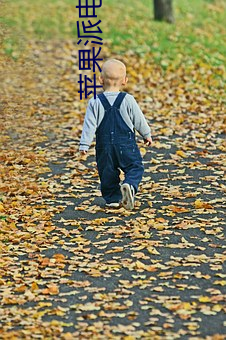 vwinӮ(й) - ٷվ