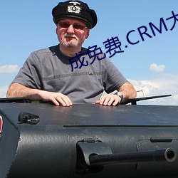 成免费.CRM大全 （多此一举
