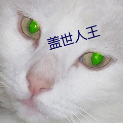 盖世人王 （食不充肠