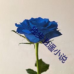 九游会登录j9入口 - 中国官方网站 | 真人游戏第一品牌