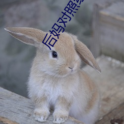後媽對照組不幹了