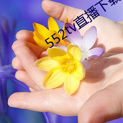 552tv直播下载安装