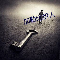 加勒比伊人 （叠矩重规）